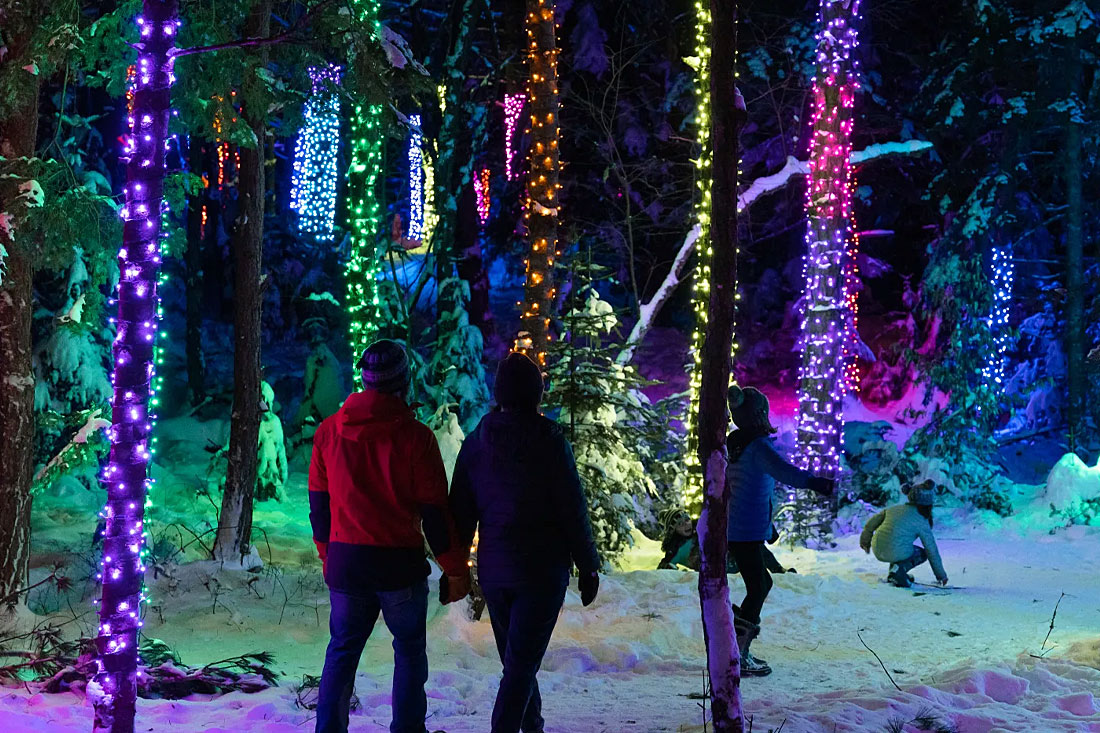tupper lake wild center lights